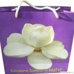 Manolya Baskılı Karton Çanta