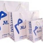 Yatay Karton Çanta 14