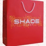 Dikey Karton Çanta 11