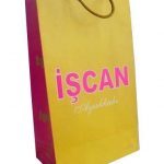 Dikey Karton Çanta 16