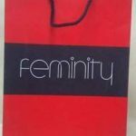 Dikey Karton Çanta 14