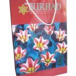 Dikey Karton Çanta 29