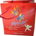 Dikey Karton Çanta 15