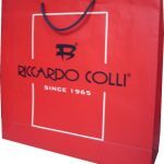 Dikey Karton Çanta 30