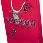 Dikey Karton Çanta 33