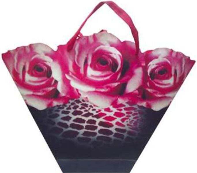 Üçgen karton çanta