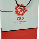 Dikey Karton Çanta 8