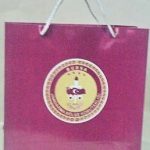 Dikey Karton Çanta 12