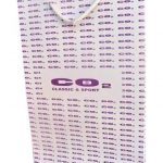 Dikey Karton Çanta 17